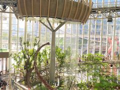 -二刀潮牛(重庆光环购物公园店)