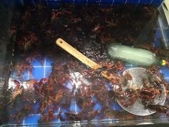 -东土食研所(渔港路店)