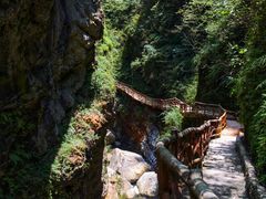 -鹿院坪生态旅游景区