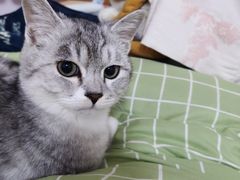 -宠颐生宠物医院·综合诊疗(先锋分院)