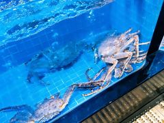 -青蓬蒸汽海鲜·深圳老字号·团建聚会(壹方城店)