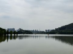 -顺峰山公园
