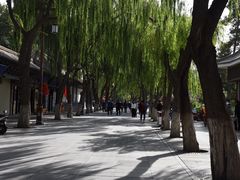 -张掖大佛寺景区