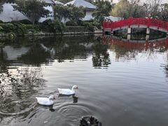 -昆明华邑酒店