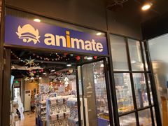 -Animate(工人体育场东路店)