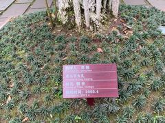 -邓小平故里