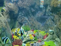 -海合安青岛极地海洋公园