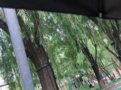 -北戴河集发农业梦想王国