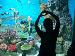 -暹罗海洋世界