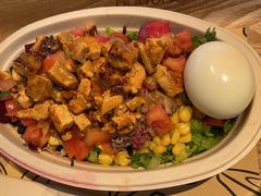 -油梨树 AVOCADO TREE(亮马桥店)