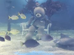 -常州海昌海洋探索馆