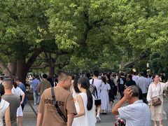 -杭州湖滨in77