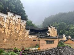 -杨家堂村