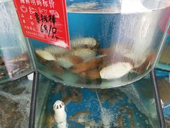 -聚德福海鲜家常菜(刘庄店)