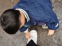 -刘七嬢烧麦刀削面
