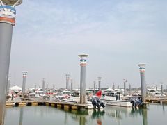 -日照灯塔风景区