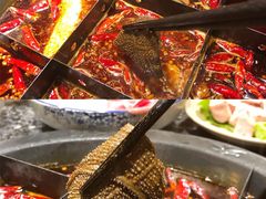 -蜀大侠火锅(四川北路店)