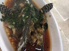葱油石斑鱼-渔中舟海鲜大排档(普陀沈家门店)