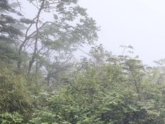 -峨眉山风景名胜区