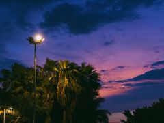 -万绿园