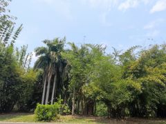 -中国科学院西双版纳热带植物园