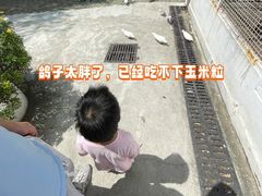 -金庭庄园酒店-停车场