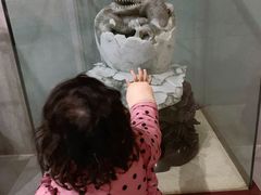 -中国西峡恐龙遗迹园