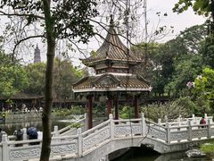 -顺峰山公园