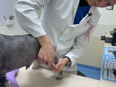 -全心全意动物诊疗中心医院(北苑店)