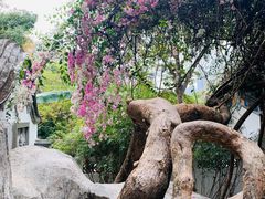 -深圳国际园林花卉博览园