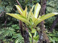 -西岭雪山大飞水景区