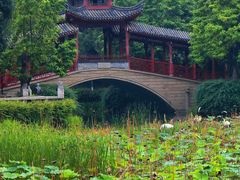 -龙潭水乡