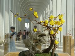 -中国宣纸文化园