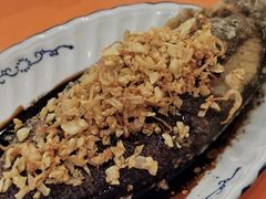 -雅苑餐厅(朝天路店)