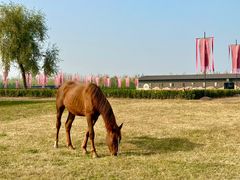 -汉长安城未央宫国家考古遗址公园