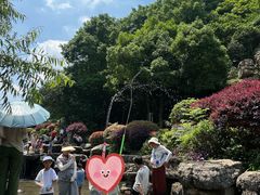 -桃花岭景区
