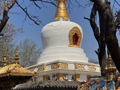 -护国法轮寺