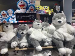 -DOINGDO遇见兜兜