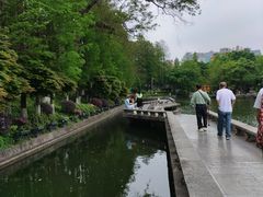-桂林市榕杉湖景区