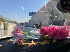 -朝来春花卉市场