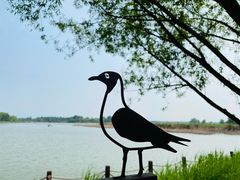 -野鸭湖国家湿地公园