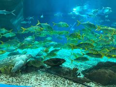 -福州罗源湾海洋世界旅游区