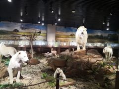 -陕西自然博物馆