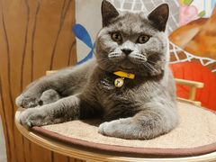 -么么咖啡(燕郊店)