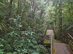 -海南热带雨林国家公园吊罗山景区