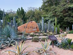 -深圳仙湖植物园