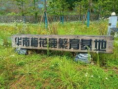 -浙西天池景区