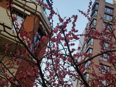 picture-温州龙湾国际机场温德姆酒店