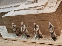 -秦始皇帝陵博物院-丽山园