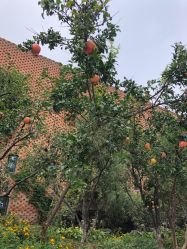 -北京当代芭蕾舞团·艺术中心